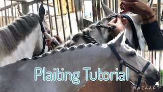 HORSE MANE PLAITING TUTORIAL  and bathing [upl. by Annaeiluj455]