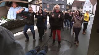 Heiratsantrag Flashmob Zedersdorf [upl. by Kaja]