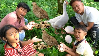 BERBURU TELUR PUYUH DAN TELUR ANGSA DI TENGAH HUTAN [upl. by Kinelski]