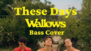 Wallows  These Days  Bass Cover With Tabs [upl. by Kohcztiy]