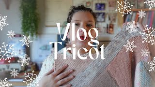 Pleins dencours sur mes aiguilles  Vlog Tricot 98 [upl. by Nnylamme]