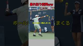 【テニス】ペナルティを受けまくる西岡良仁…shorts tennis [upl. by Wrand]