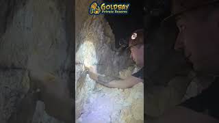 Why Some Prospectors Always Find Gold shortsvideo shorts [upl. by Mallina]