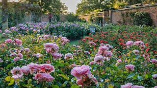 The Rose Garden  Hever Castle [upl. by Huggins]