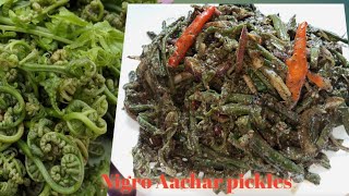 Nigro ko Aachar निग्रो का पिकल कैसे बनाएंfiddlehead pickle test is very Delicous [upl. by Refinej618]