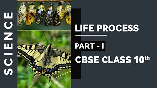 Chapter 6 Life Process PartI Class 10 Science NCERT Explanation Video [upl. by Oitaroh]