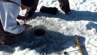 The Fields Edge Outdoors Icefishing Pike on Lake Koshkonong Wisconsin [upl. by Canty405]