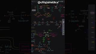 Glucolisis Aerobia vs Anaerobia [upl. by Nnylannej]