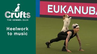 Heelwork To Music  Freestyle International Competition Part 1  Crufts 2023 [upl. by Azeria]