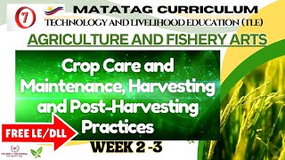 TLE Grade 7 Quarter 2  AFA Weeks 23 CROP CARE AND MAINTENANCE HARVESTING AND POST HARVESTING [upl. by Sined950]