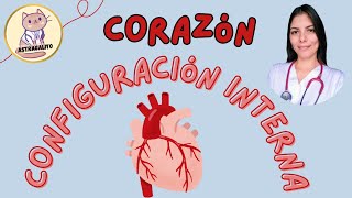 Configuracion interna del corazon  Astragalito [upl. by Anuhsal]