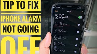 iPhone Alarm Not Working iOS 16 Fixed 2023 iPhone 13 Pro Max amp Earlier [upl. by Ikcaj]