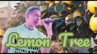 Lemon Tree  Cover by Meaw BampW48SGBand [upl. by Dnaloy]