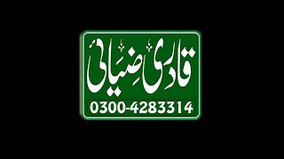 Private Grand Mahfi E Naat In FaisalabadQadri Ziai Production 03224283314 03228009684 [upl. by Tolliver808]