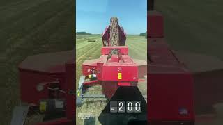 How many bales can the Massey 1840 crank out in an hour hay [upl. by Vaclav]