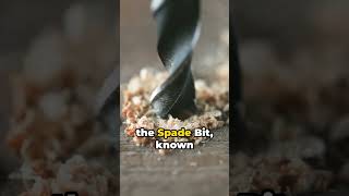 Forstner vs Spade Bits Exploring the Drill Differences diytools tools woodworking [upl. by Ydak]