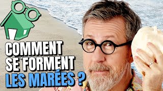 Comment se forment les marées  🌊 [upl. by Alexander]