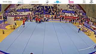 Sol  Campionatul National De Gimnastica Artistica Feminina J2 N5 si J3 N7 [upl. by Atikin871]