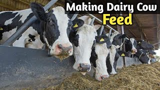 Making Cheap and Quality Dairy Animals Feed [upl. by Francene148]