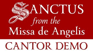 Sanctus de Angelis • Cantor and Organ Demo [upl. by Hcib]