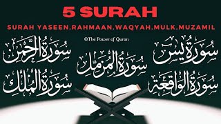 Quick RecitationIn just 20 minsSurah Ar RahmaanSurah YaseenSurah WaqiahSurah MulkampSurah Muzamil [upl. by Zischke]