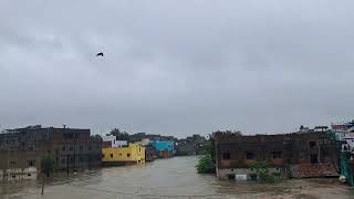 flood at Railpar Asansol Area on 2824 [upl. by Ahsekyw]