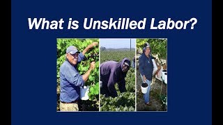 What is Unskilled Labor [upl. by Eindys917]