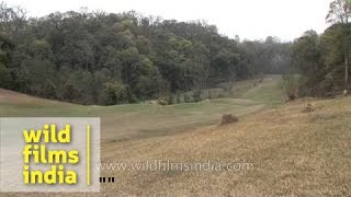 Golf Course Kathmandu Nepal [upl. by Elnore]