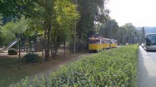 Kirnitzschtalbahn Ausfahrt Bad Schandau Kurpark [upl. by Marlyn447]