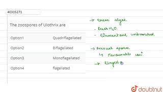 The zoospores of Ulothrix are [upl. by Nalrah]