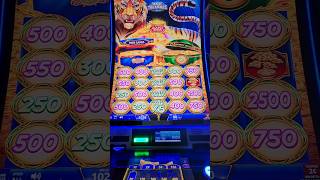 💰5X Sooo many MONEY BALLS I love this slot slots [upl. by Eiser220]