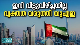 UAE residency അക്കാര്യത്തിൽ ആശയക്കുഴപ്പം വേണ്ട നിലപാട് കടുപ്പിച്ച് യുഎഇ [upl. by Doris53]