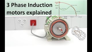 How does a 3 Phase Induction Motor work  Technical animation [upl. by Terrell]