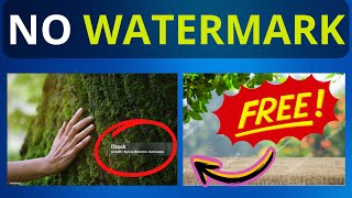 How to Download Stock Images without Watermark [upl. by Eanel]