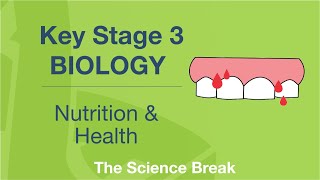 Key Stage 3 Science Biology  Nutrition and Health [upl. by Nakre]