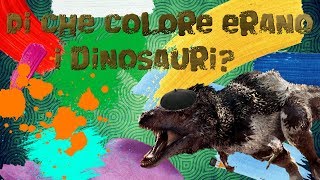 Di che colore erano i Dinosauri [upl. by Eimoan38]