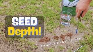 Grass Seed Planting Depth Comparison  Buffalograss [upl. by Duff468]