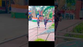 BGB VS BSF Whos best parade travel shortvideo bgb bsf benapoleborder india bangladesh [upl. by Nnek]