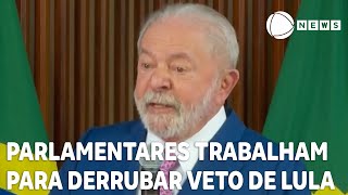 Parlamentares trabalham para derrubar veto de Lula [upl. by Oironoh28]