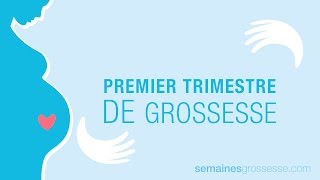 Premier trimestre de grossesse  La grossesse trimestre par trimestre [upl. by Athenian]