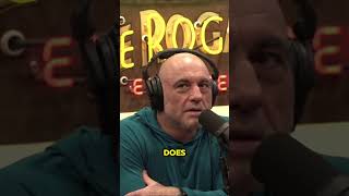 Theo Von amp Joe Rogan Its more valuable than any other kind of speeches he does [upl. by Kamp]