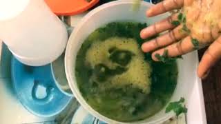 Malaria is cured by Bitter leaf 🍃 Vernonia Amygdalina how to prepare it  11 August 2018 [upl. by Emiaj]