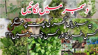 December mein lagne wali sabziyan thies vegetables also grow in December [upl. by Chemush]