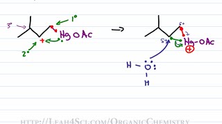 Oxymercuration Demercuration Reduction  Alkene Reaction Mechanism by Leah Fisch [upl. by Einreb]