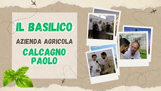 IL BASILICO  Calcagno Paolo Azienda Agricola Erga Edizioni [upl. by Euqinim]