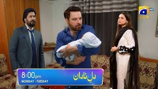 Dill Nadan Episode 25 Teaser  Promo  Dill Nadan Episode 25 Promo  Har Pal Geo [upl. by Ycnej352]