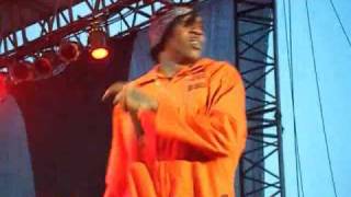 Vybz Kartel Live At Reggae Sumfest 2010 July 2010 [upl. by Pincince]