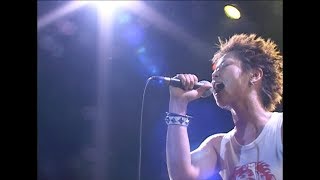 ジッタリン・ジン  夏祭り at BSJM12  Jitterin’ Jinn  Natsumatsuri at BSJM12 【LIVE】 [upl. by Rehpatsirhc468]