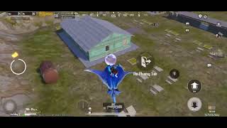 ANIMAL 🐶🐹 Pubg mobile 4 ngón  full gyroscope [upl. by Gannie]