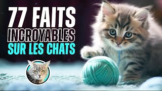 77 faits SURPRENANTS sur les CHATS   Doc Seven [upl. by Muirhead773]